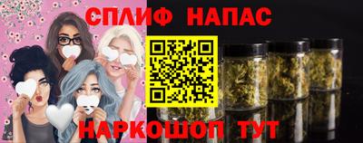 дмт Аргун