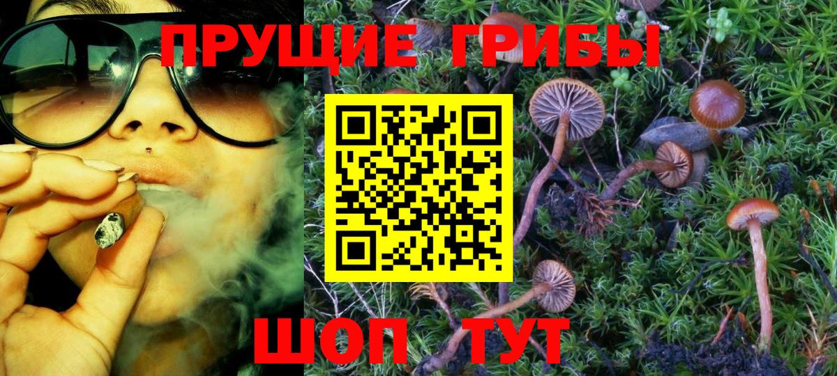 Балабаново  Псилоцибиновые грибы Cubensis  Галлюциногенные грибы Psilocybine cubensis  Вход с VPN 